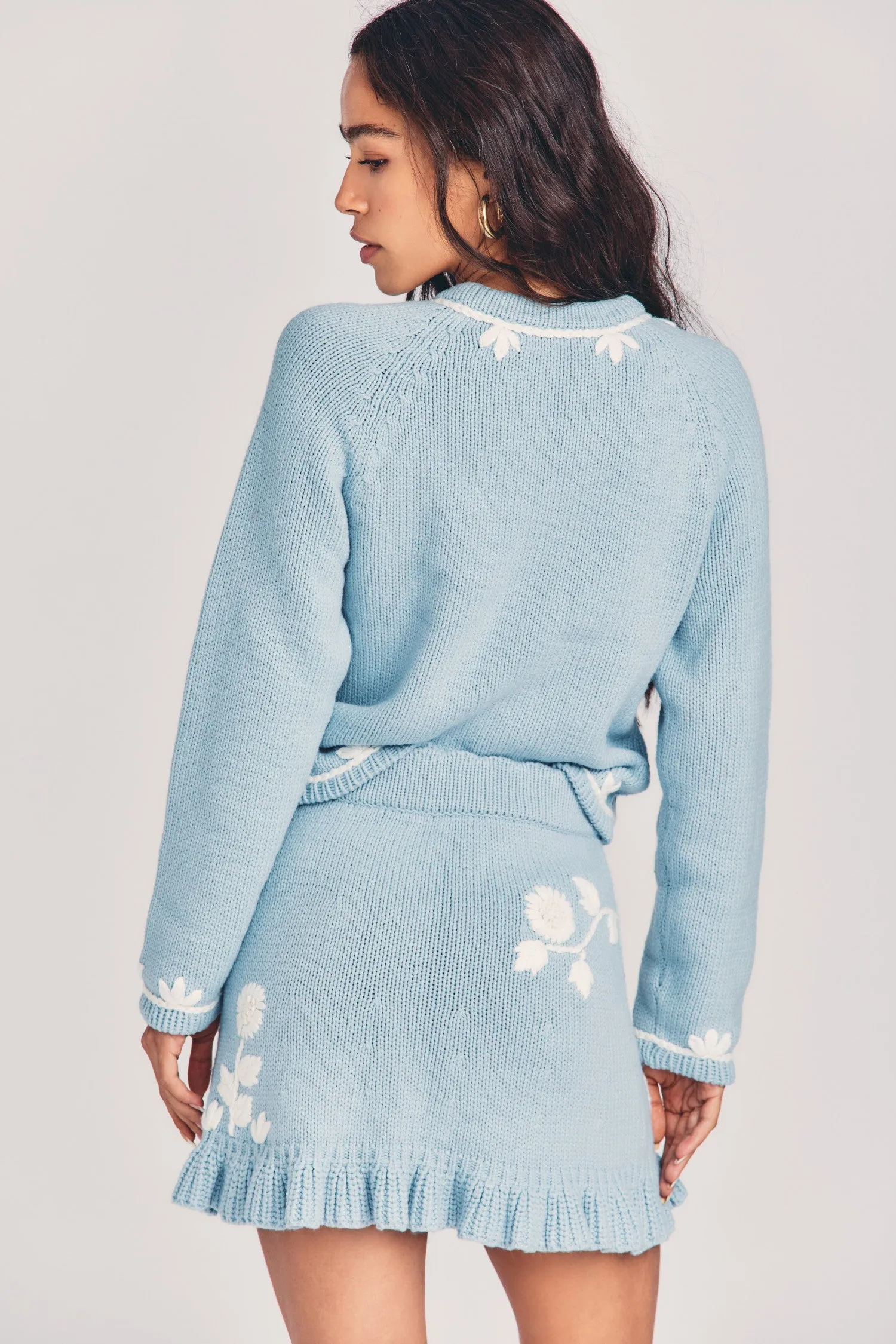 Oxford Mini Skirt
