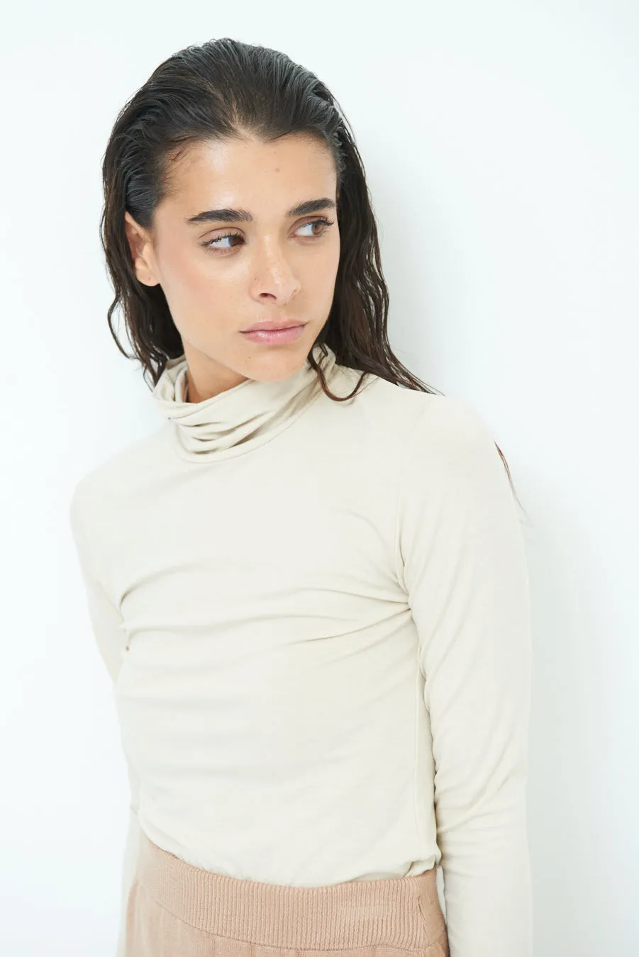 Stylish turtleneck long sleeve top wholesale